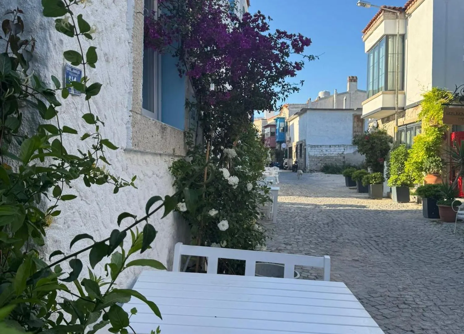 1881 Otel Alaçatı 0*,